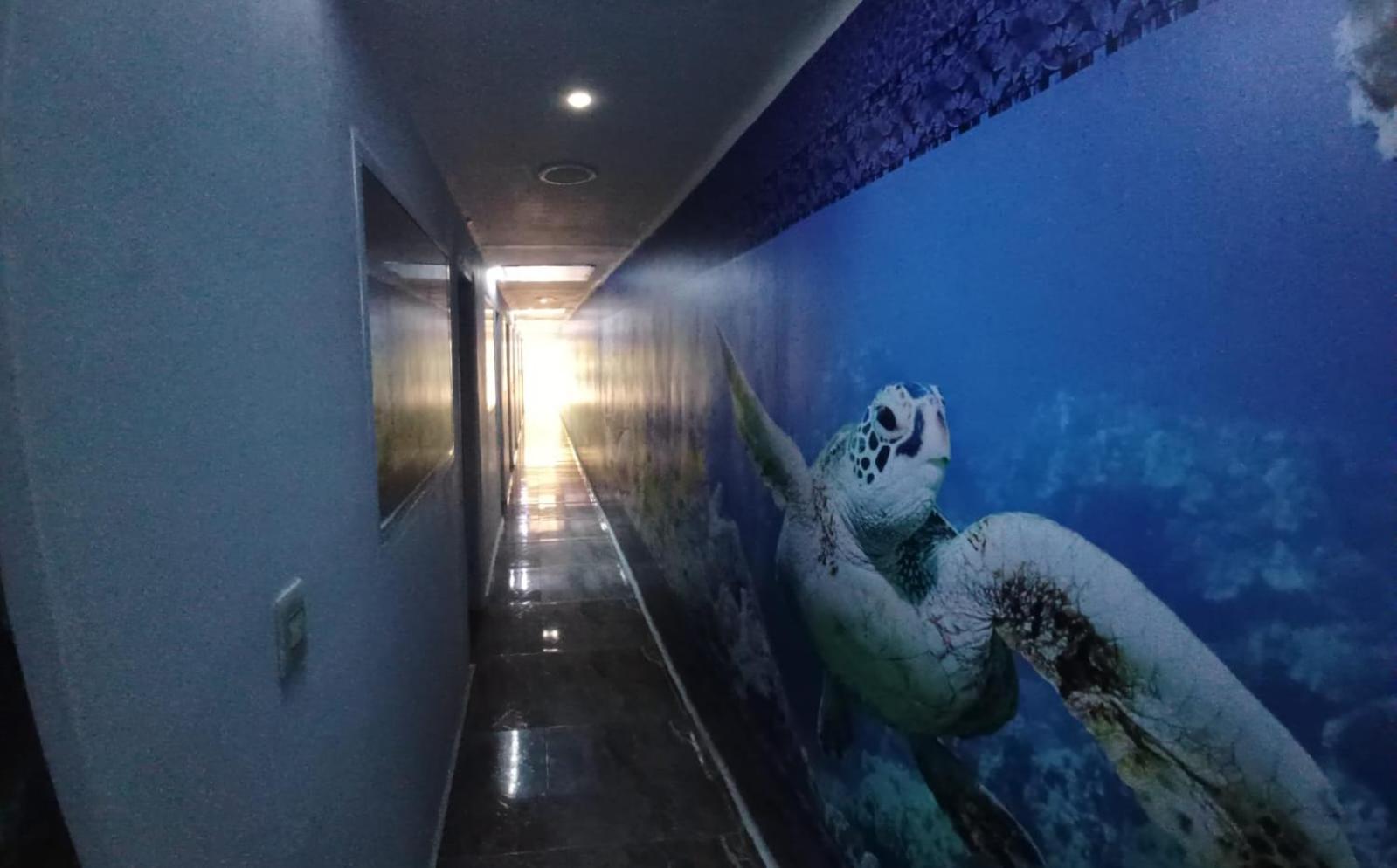 Hotel Dmauro Cartagena Exterior foto